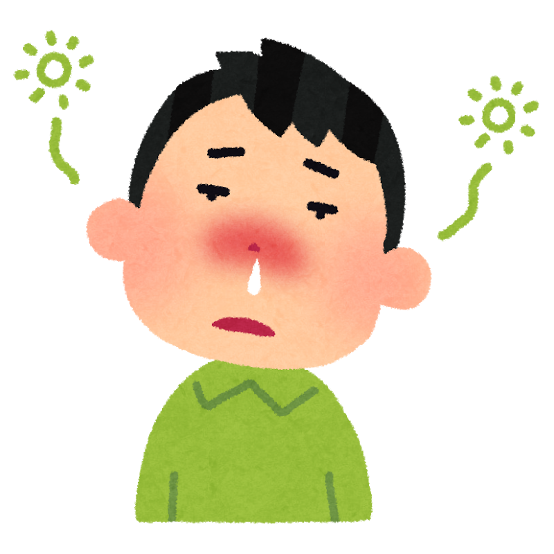 花粉症 柏駅前内科 皮ふ科 柏市 内科 循環器内科 皮膚科 花粉症 柏駅前内科 皮ふ科 柏市 内科 循環器内科 皮膚科